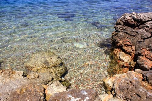  Apartments with a parking space Savar, Dugi otok - 12762 in Brbinj