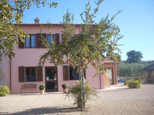 Agriturismo La Rosa Montefalco 5