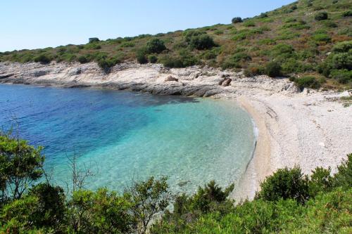 Secluded fisherman's cottage Cove Ripisce, Dugi otok - 394