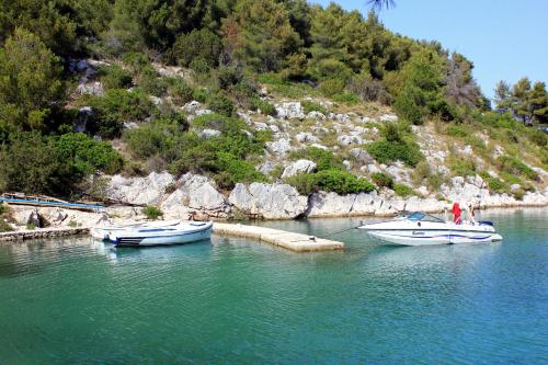 Seaside secluded apartments Cove Dumboka bay - Dumboka (Dugi otok) - 395