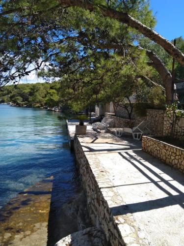 Seaside secluded apartments Cove Dumboka bay - Dumboka (Dugi otok) - 489