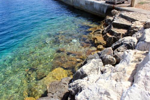  Apartments with a parking space Sali, Dugi otok - 16469 in Sali