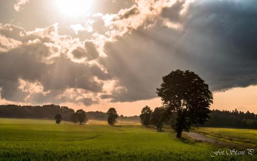 Szewska Pasja Agroturystyka Wiejska