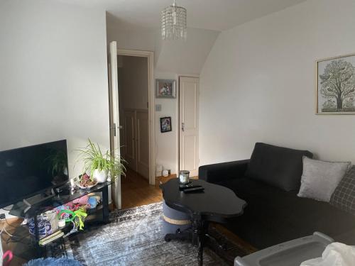 A lovely guest room in West London, Londýn (fotografie 7)