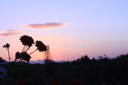 Melitini, cottage in nature, near the city center. gîte à louer Kaká Pinári
