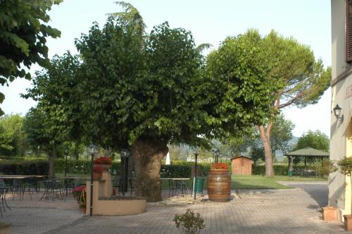 Albergo el Rancho - image 9