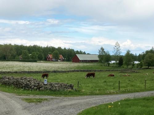 Lovely holiday home in the village of Flattinge, with a view of lake Flaren