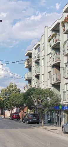 W Apartman - Apartment - Gornji Milanovac