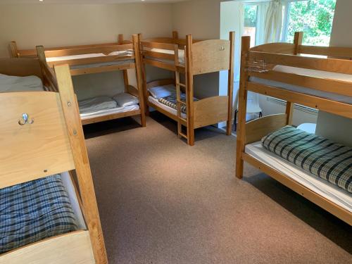 Bunk Bed in Female Dormitory Room 