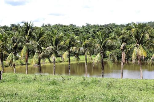 Condomínio Barretos Thermas Park - Flat Parque do Peão