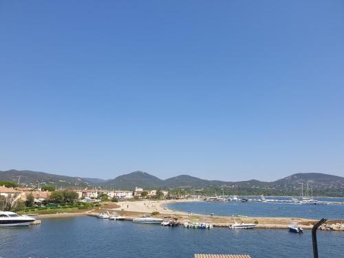 Magnifique 2 pièces vue port et mer Magnifique 2 pièces vue port et mer