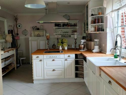 Luana`s White Cottage in Surwold