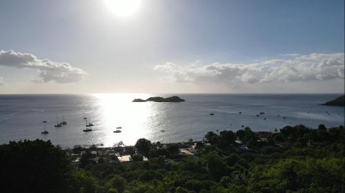 Le Nid Tropical in Bouillante