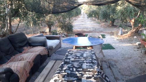 אוהל הזית in Herzliya City Center