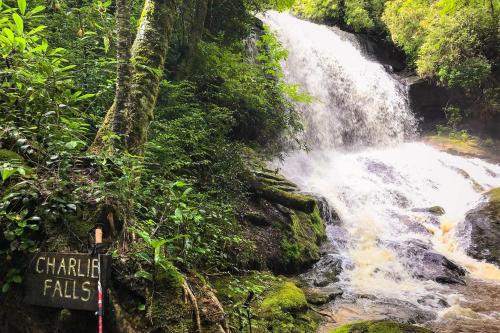 Fire Pit and Deck Mtn-View Glenville Getaway!