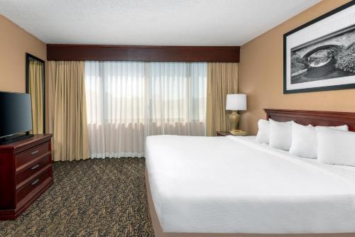 Junior King Suite with Sofa Bed
