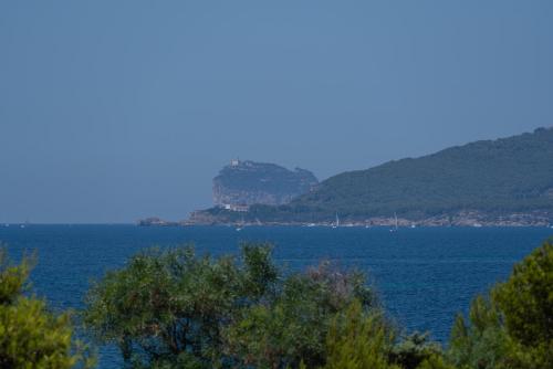 Pepigall vista mare