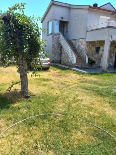 Hostel Dragana photo