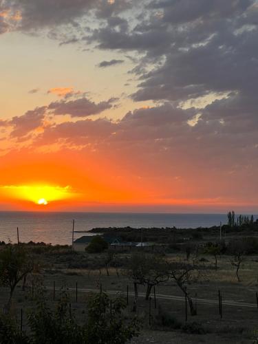 Guest house and yurt camp "Aktan"