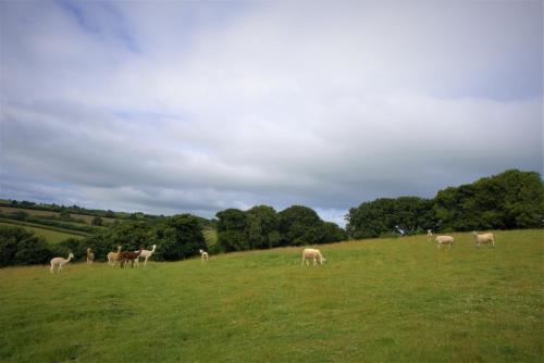 Ta Mill Holiday Cottages & Lodges - Forge Cottage