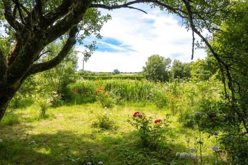 Ta Mill Holiday Cottages & Lodges - Forge Cottage