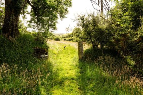 Ta Mill Holiday Cottages & Lodges - Forge Cottage