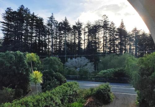 Heart of Kerikeri - The Studio near Kerikeri Airport