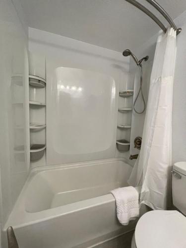 Lovely 1 bedroom Condo with pool in Orlando, USA