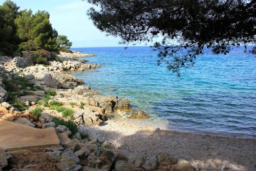 Apartments with a parking space Mali Losinj (Losinj) - 7998 - main image
