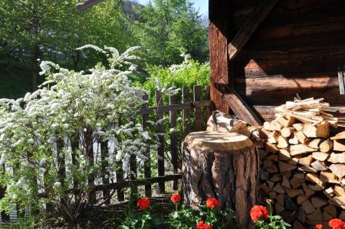 Panorama Chalet Heimatliebe - image 11
