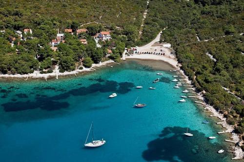 Apartments with a parking space Artatore Losinj - 8087 - image 2