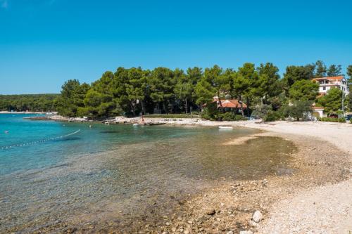Apartments by the sea Artatore Losinj - 8008 - image 3