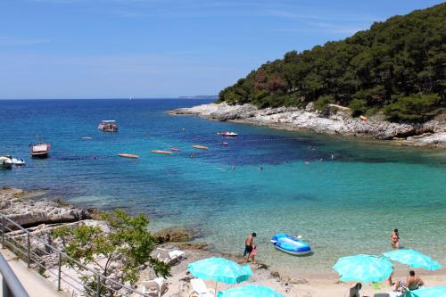 Apartments by the sea Mali Losinj (Losinj) - 12342