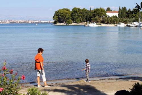 Family friendly seaside apartments Preko Ugljan - 14692 - image 3
