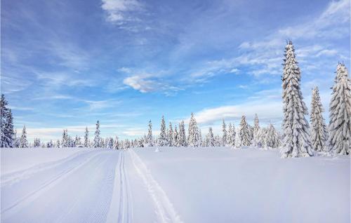 Tampilan eksterior, 4 Bedroom Nice Home In Sjusjøen in Sjusjoen