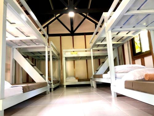 10 bunk beds