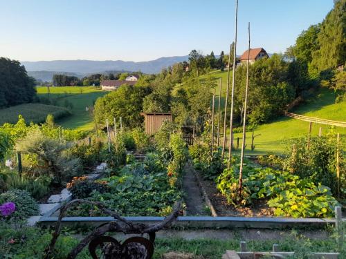 Kellerstöckl Maierjörgl (Kellerstockl Maierjorgl) in Wies (Styria)