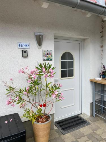 Ott‘s FEWO in Buchberg