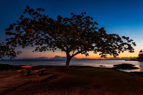 Castle Hilo Hawaiian Hotel