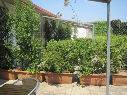 Tenuta Innocenzi in Sanarica