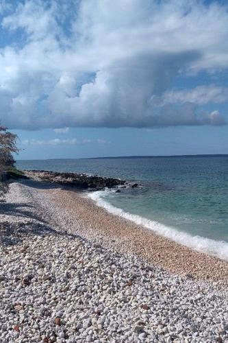  Apartments with WiFi Silba - 17603 in Silba