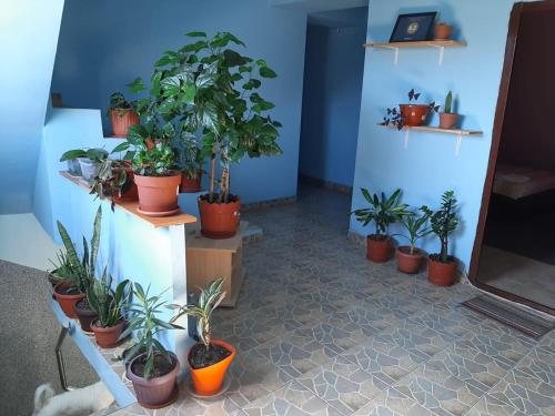 Casa Laura - image 3