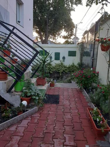 Casa Laura - image 2
