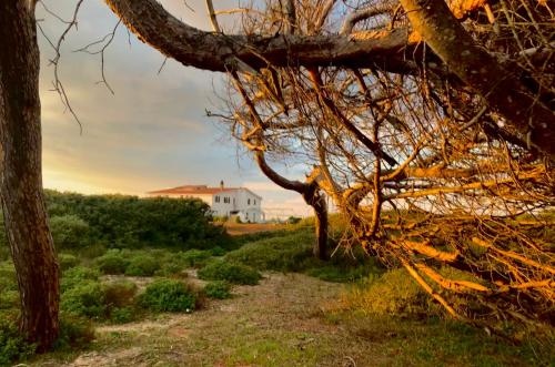  Il Canneto, Arborea bei Ingurtosu