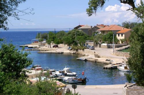 Holiday house with a swimming pool Lun Pag - 18321 - image 4