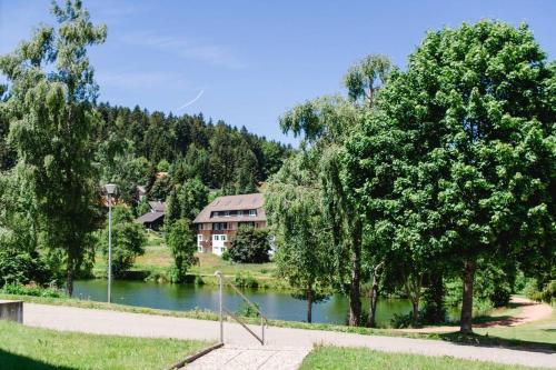 Apkārtne, Ferienwohnung "Am Skilift" in Herrischried
