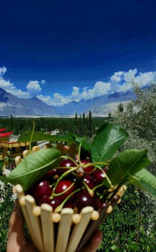 View, Hikk Inn Skardu in Skardu
