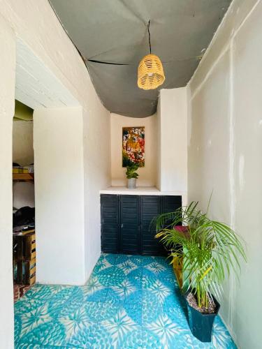 View, Hostal Posada Mi Casa in San Cristobal De Las Casas