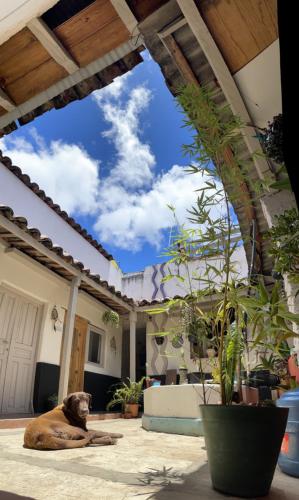 Facilities, Hostal Posada Mi Casa in San Cristobal De Las Casas