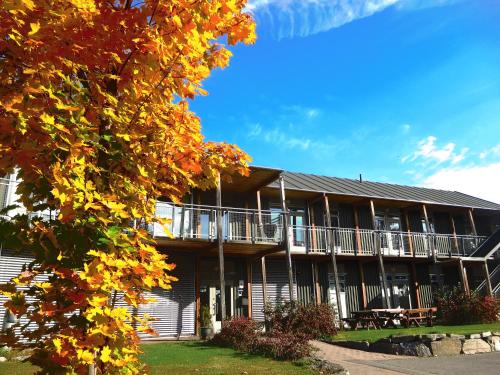 Vikingskipet Hamar Hostel & Apartments